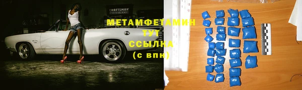 сатива Козловка