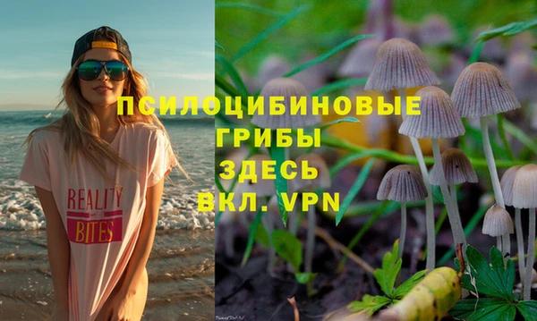 герыч Кодинск