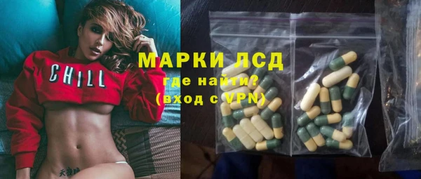 сатива Козловка