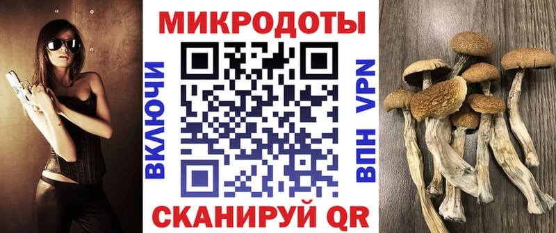 Купить  Алупка  Псилоцибиновые грибы Cubensis 